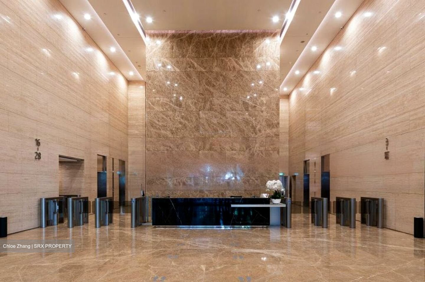 PLUS (D1), Office #457159561